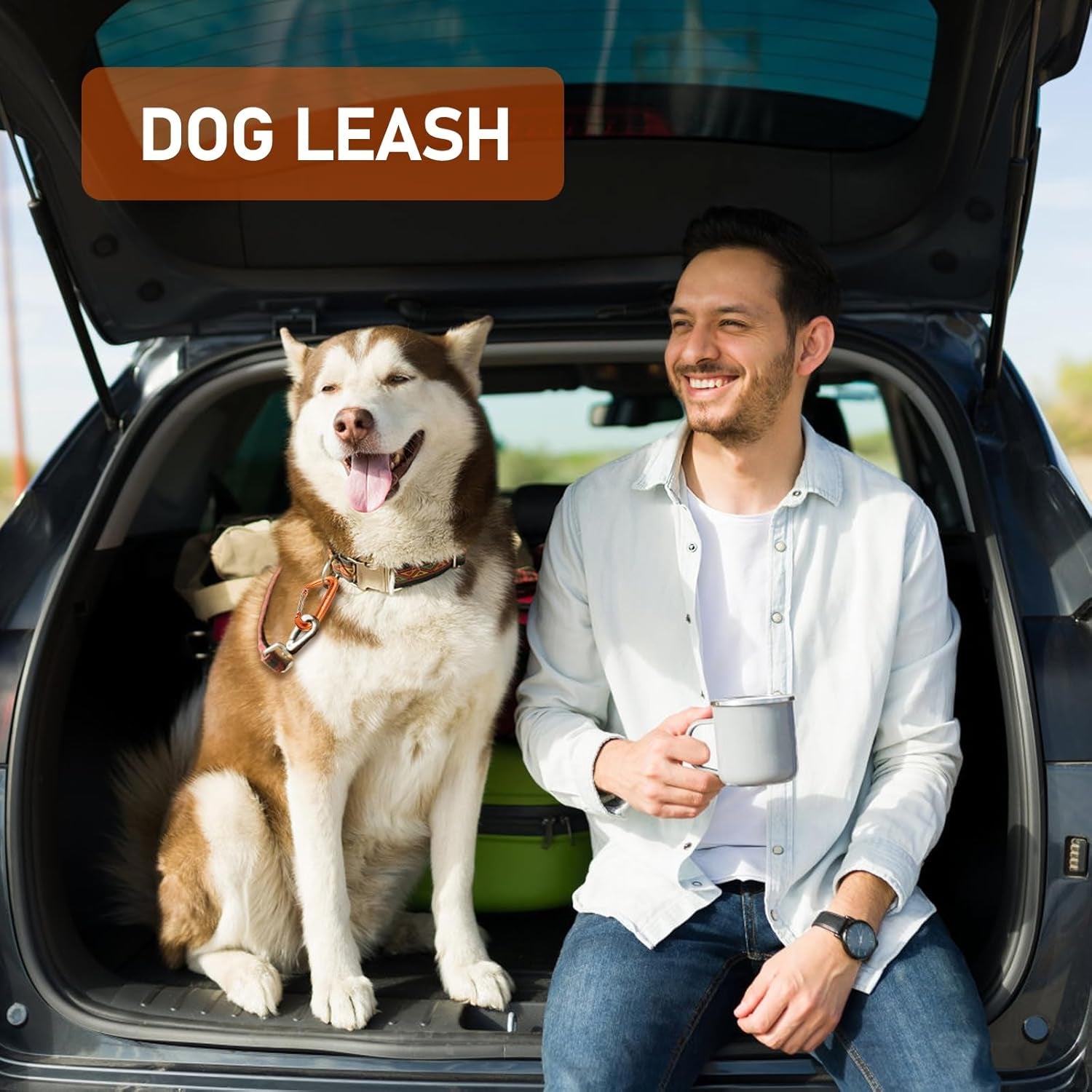 Carabiner Clips Heavy Duty 12Kn (2697 Lbs)-Lightweight Locking Carabiners for Camping, Hiking, Hammock, Dog Leash Harness, Outdoor and Gym Etc, Keychains& Utility