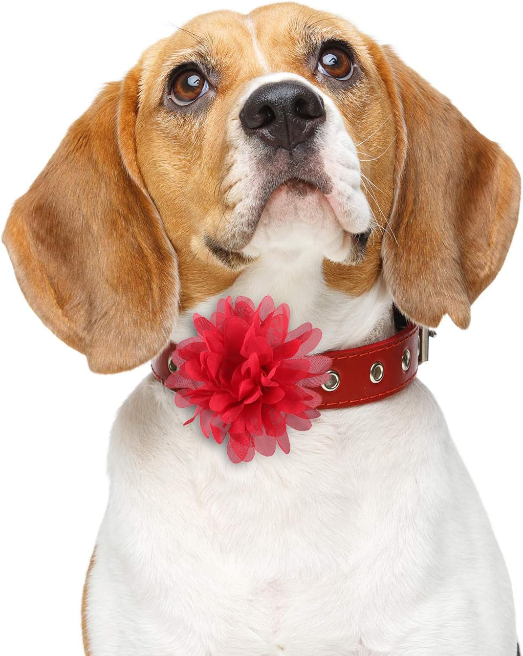 20 Pcs 4.7 Inch Dog Collar Flowers Bow Multicolored Pet Bow Collar Charms Accessories for Puppy Cat Dog Pet Grooming Accessories